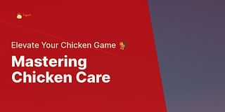 Mastering Chicken Care - Elevate Your Chicken Game 🐓