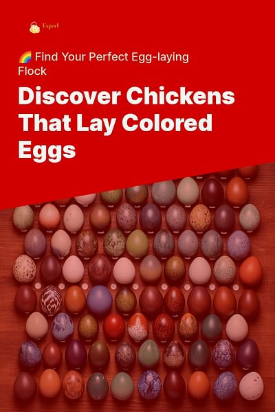 Discover Chickens That Lay Colored Eggs - 🌈 Find Your Perfect Egg-laying Flock