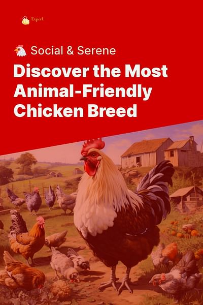 Discover the Most Animal-Friendly Chicken Breed - 🐔 Social & Serene