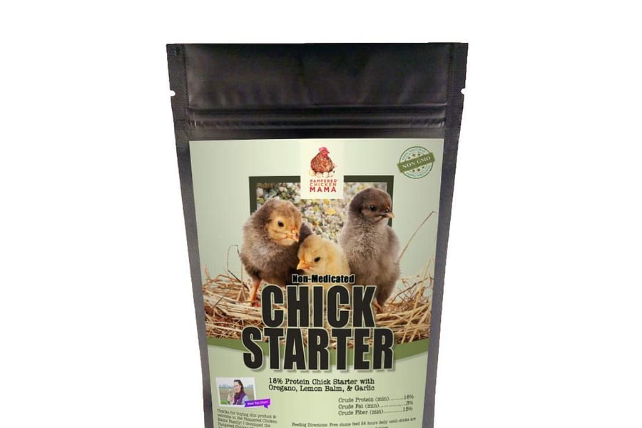 high protein chick starter feed