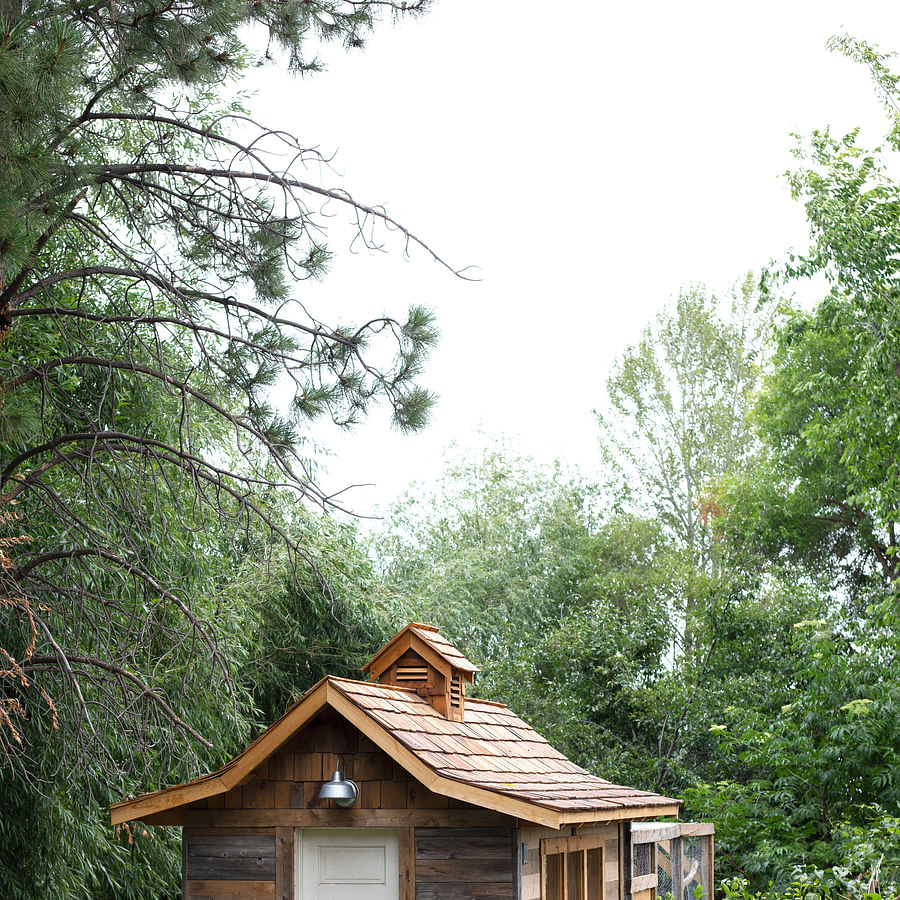 Traditional wooden chicken coop in a lush green garden