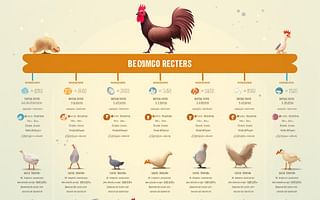 What is the Vaccination Schedule for Chickens?